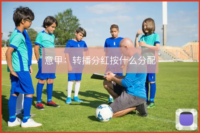 意甲：转播分红按什么分配